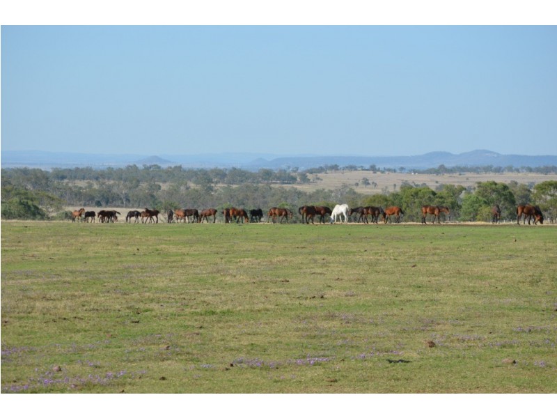 Biddeston QLD 4401