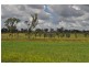 Biddeston QLD 4401