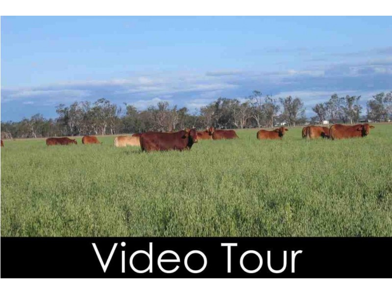 Oakey QLD 4401