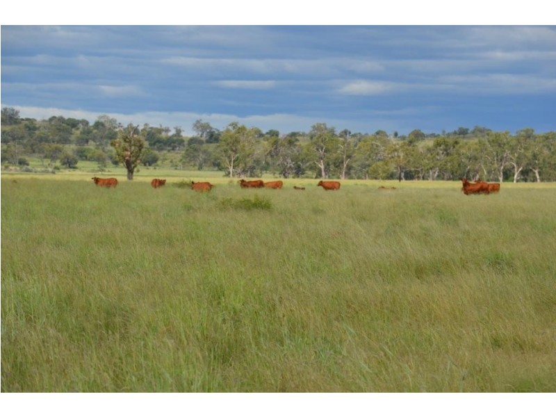 Oakey QLD 4401