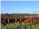 Oakey QLD 4401