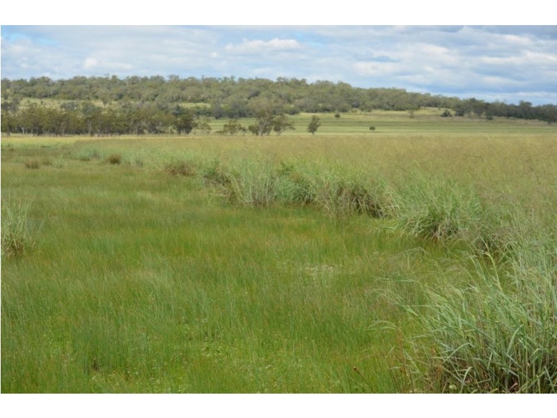 Oakey QLD 4401