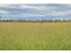 Oakey QLD 4401