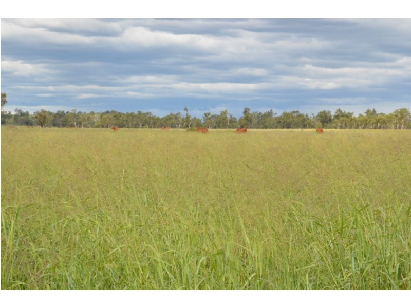 Oakey QLD 4401