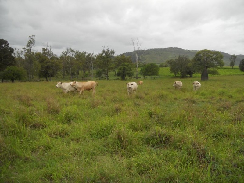 174 Ma Ma – LilyDale Road, Ma Ma Creek QLD 4347