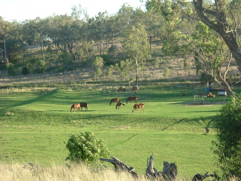 373 Ciesiolka Road, Aubigny QLD 4401