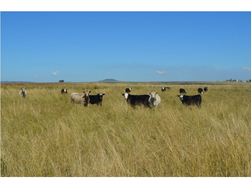 Lot 4 Carey Road, Nevilton QLD 4361