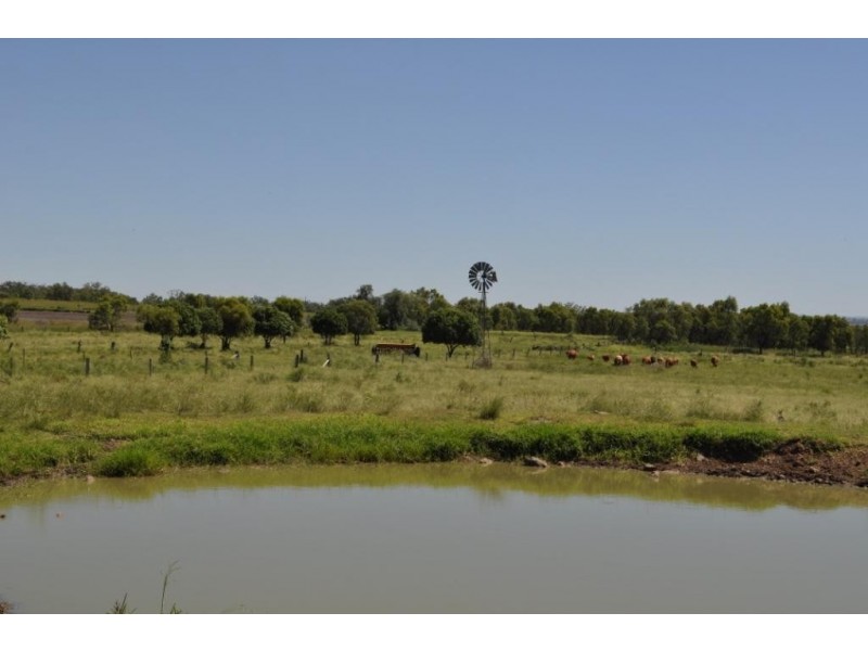 Mount Tyson QLD 4356