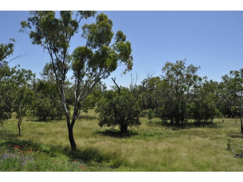 Mount Tyson QLD 4356