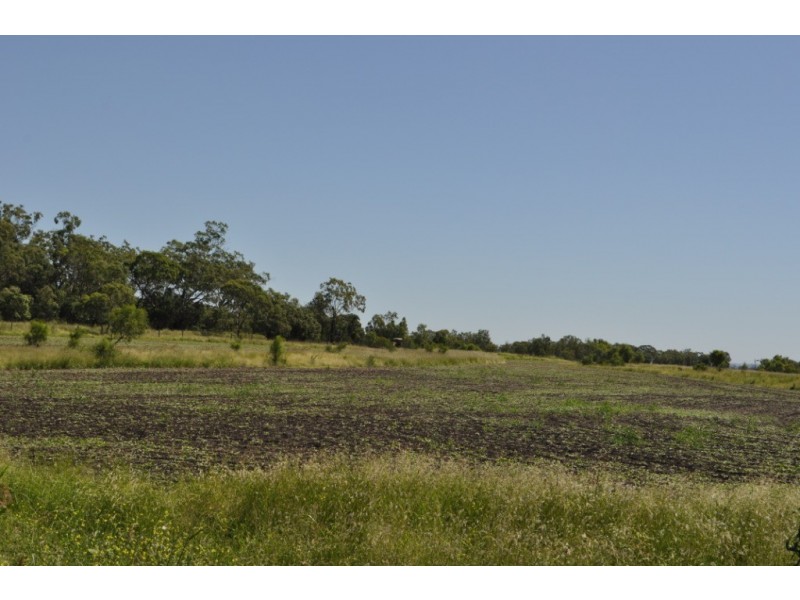 Mount Tyson QLD 4356