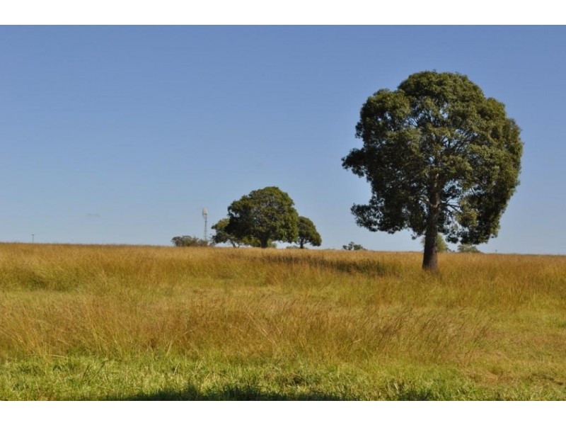 Biddeston QLD 4401