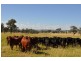 Biddeston QLD 4401