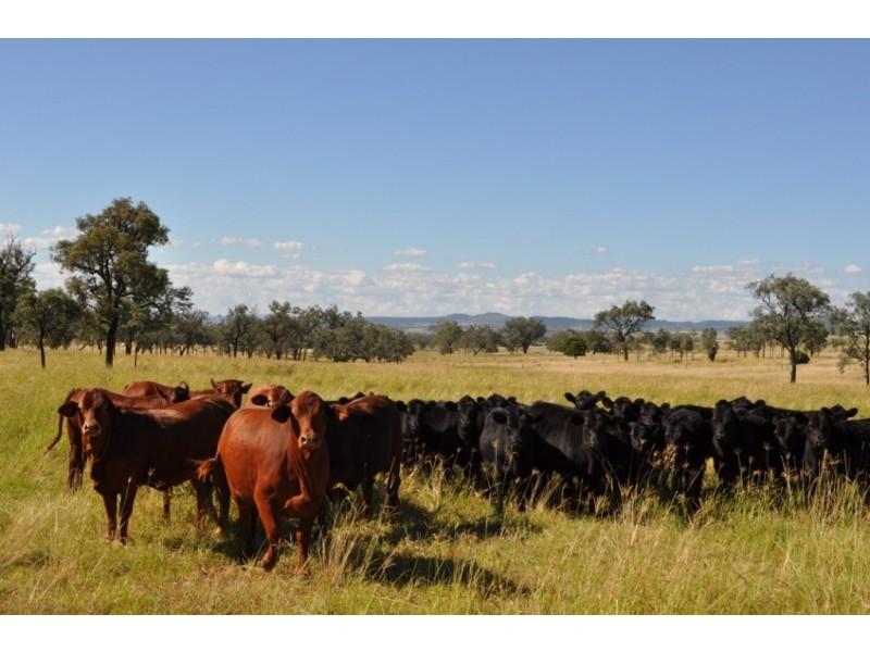 Biddeston QLD 4401