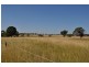 Biddeston QLD 4401