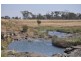 Westbrook QLD 4350