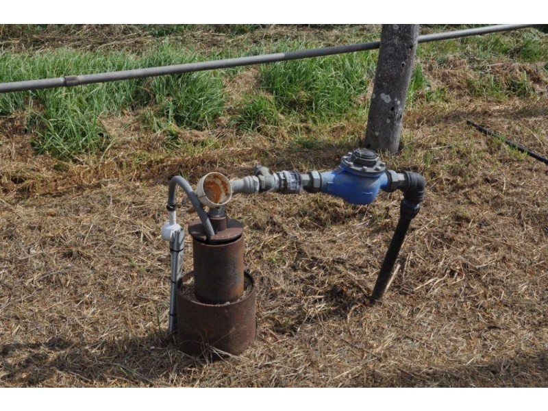 Westbrook QLD 4350
