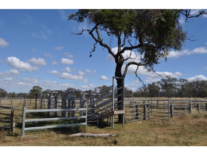Westbrook QLD 4350