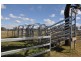 Westbrook QLD 4350