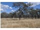 Westbrook QLD 4350