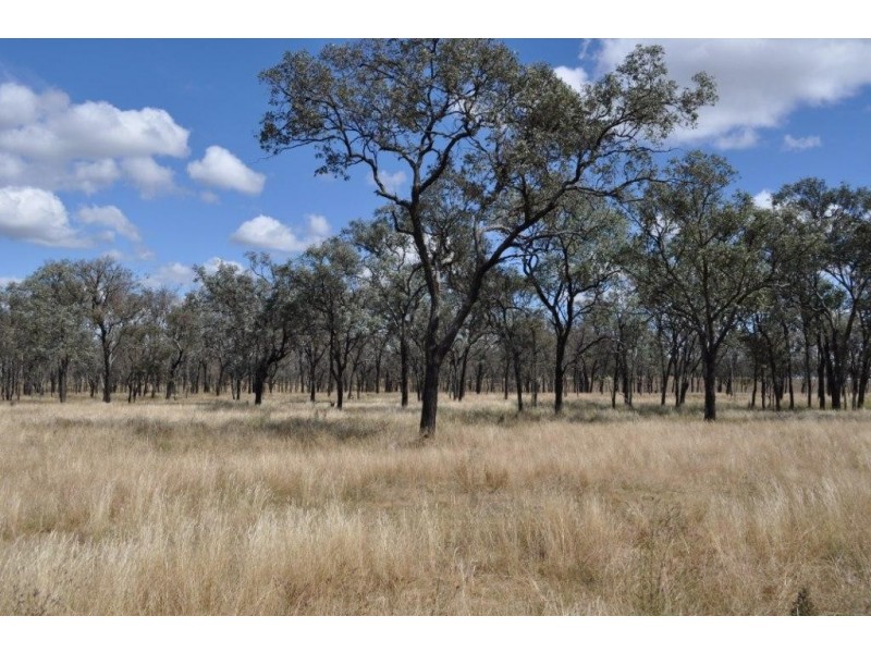 Westbrook QLD 4350