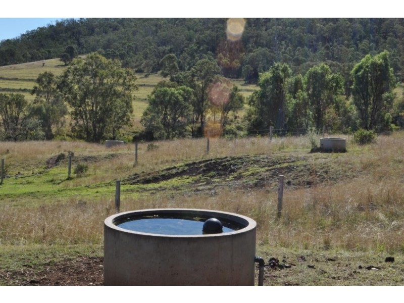 Pilton Grazing 410 Waldron Road, Pilton QLD 4361