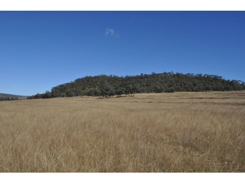 Pilton Grazing 410 Waldron Road, Pilton QLD 4361