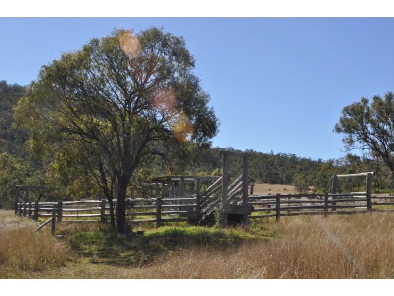 Pilton Grazing 410 Waldron Road, Pilton QLD 4361