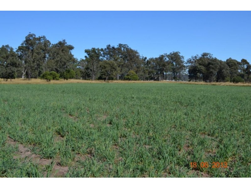 00 Peranga-Narko Road, Peranga QLD 4352