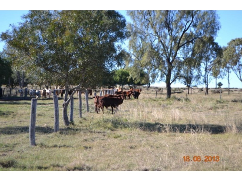 00 Peranga-Narko Road, Peranga QLD 4352