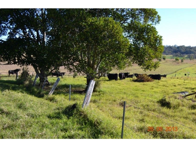 209 Pechey-Forestry Road, Crows Nest QLD 4355