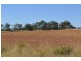 434 Groomsville Rd, Groomsville QLD 4352