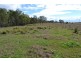 0 Dalby-Nungil Road, Irvingdale QLD 4404