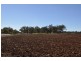 0 Gore Highway, Athol QLD 4350