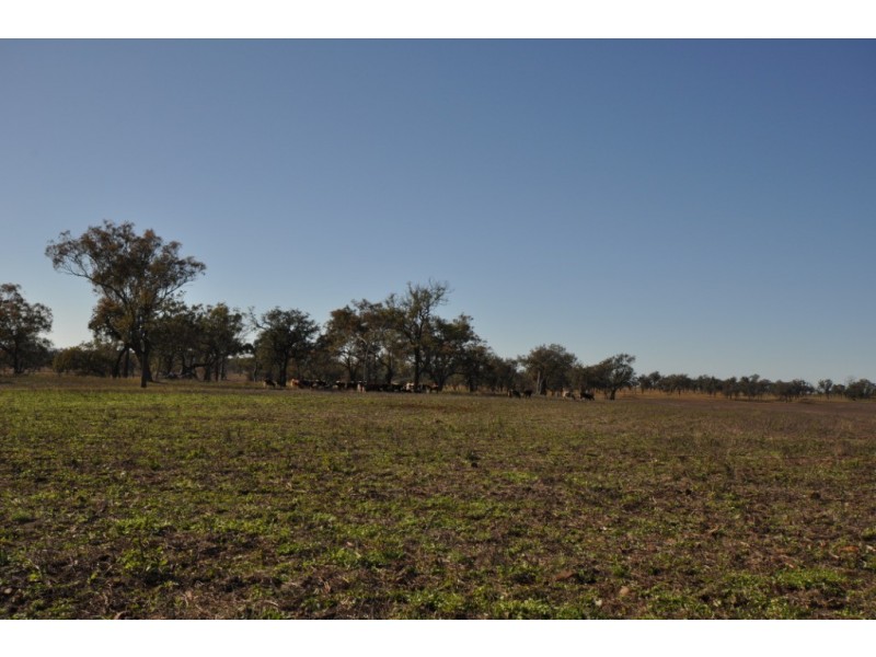 00 Gore Highway, Athol QLD 4350