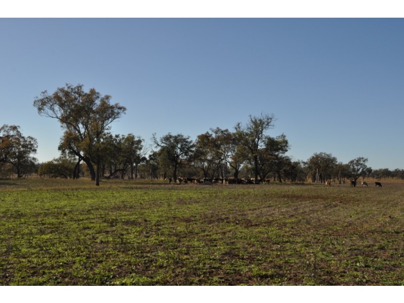 00 Gore Highway, Athol QLD 4350