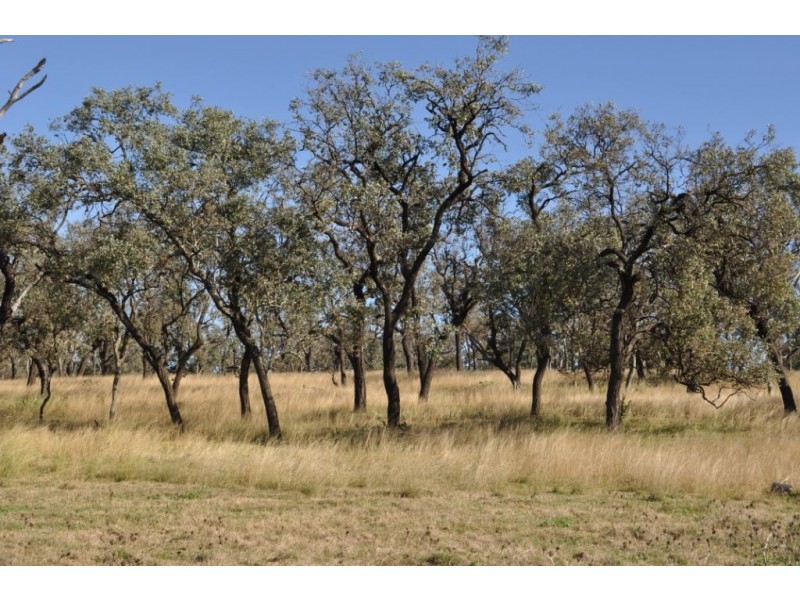 00 Gore Highway, Athol QLD 4350
