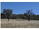 317 Beauaraba Road, Biddeston QLD 4401