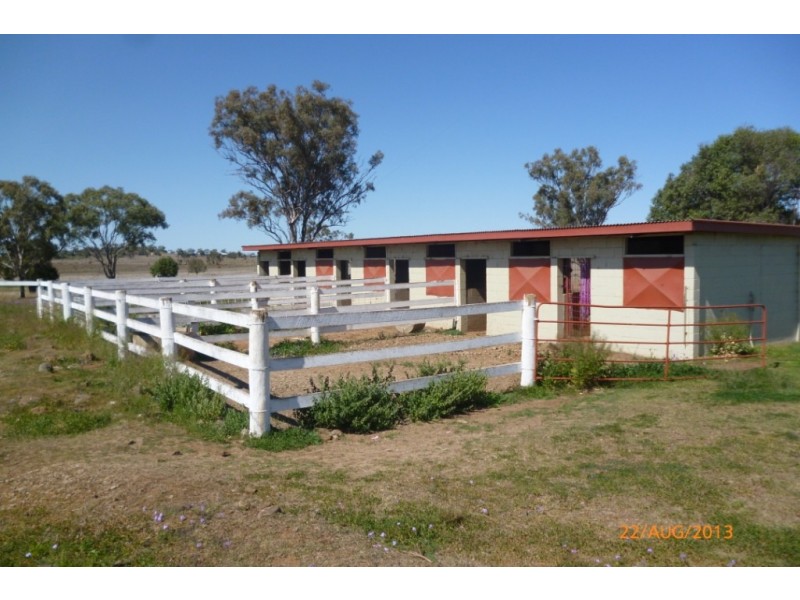 98 Mahoneys Road, Irvingdale QLD 4404