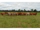 552 Goombungee-Meringandan Road, Goombungee QLD 4354