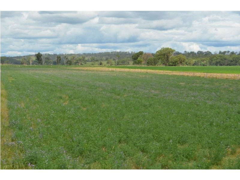 552 Goombungee-Meringandan Road, Goombungee QLD 4354