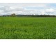 552 Goombungee-Meringandan Road, Goombungee QLD 4354