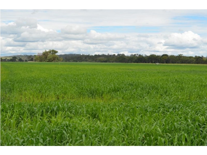 552 Goombungee-Meringandan Road, Goombungee QLD 4354