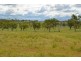 552 Goombungee-Meringandan Road, Goombungee QLD 4354