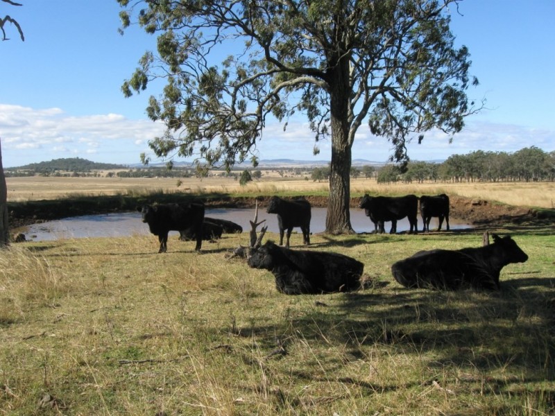 Lot 8 Ennis View Road, Southbrook QLD 4363