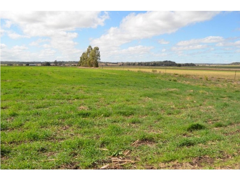 142 Ryan Road, Aubigny QLD 4401