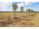 142 Ryan Road, Aubigny QLD 4401