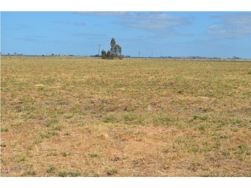 142 Ryan Road, Aubigny QLD 4401
