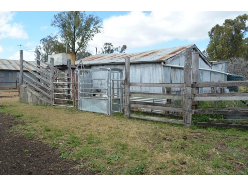 142 Ryan Road, Aubigny QLD 4401