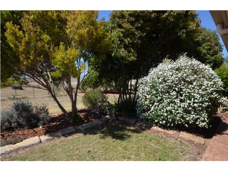 453 Mt Sibley Road, Nobby QLD 4360