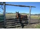 15 Jordan Court, Charlton QLD 4350